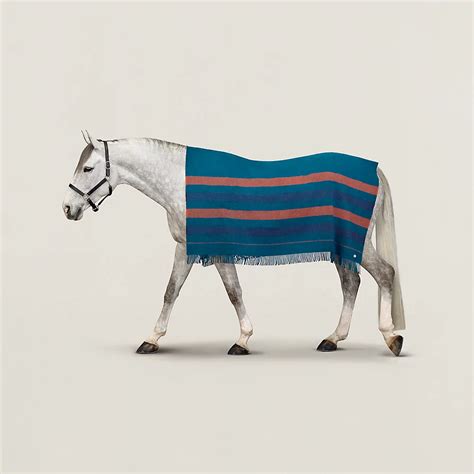 hermes rocabar blanket.